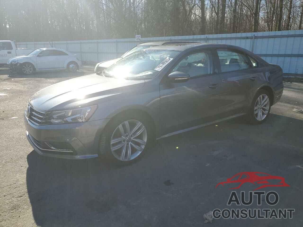 VOLKSWAGEN PASSAT 2019 - 1VWLA7A30KC007606