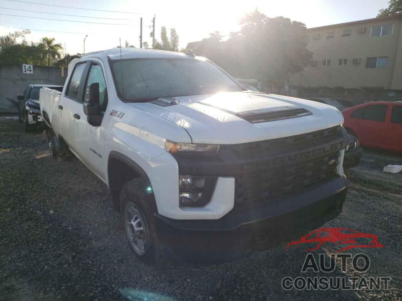 CHEVROLET SILVERADO 2020 - 1GC4YLEY9LF166660