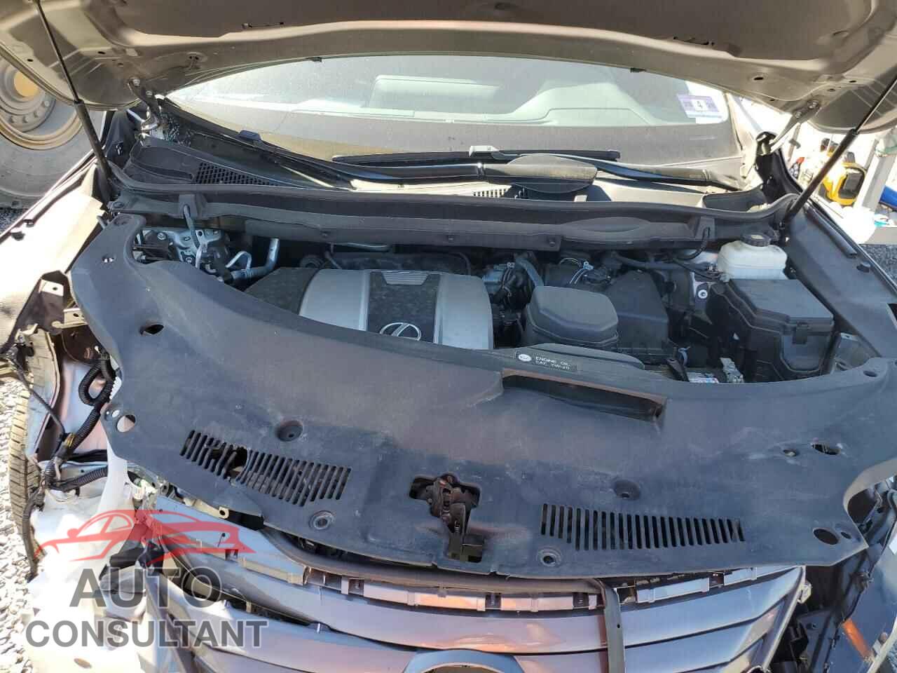 LEXUS RX350 2019 - 2T2BZMCA3KC192402