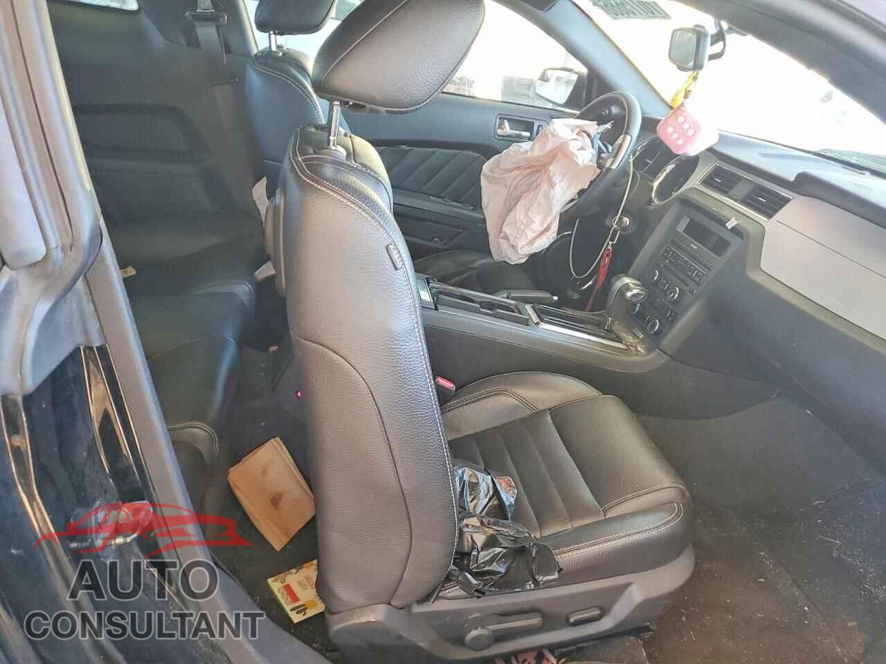 FORD MUSTANG 2011 - 1ZVBP8CF9B5110096