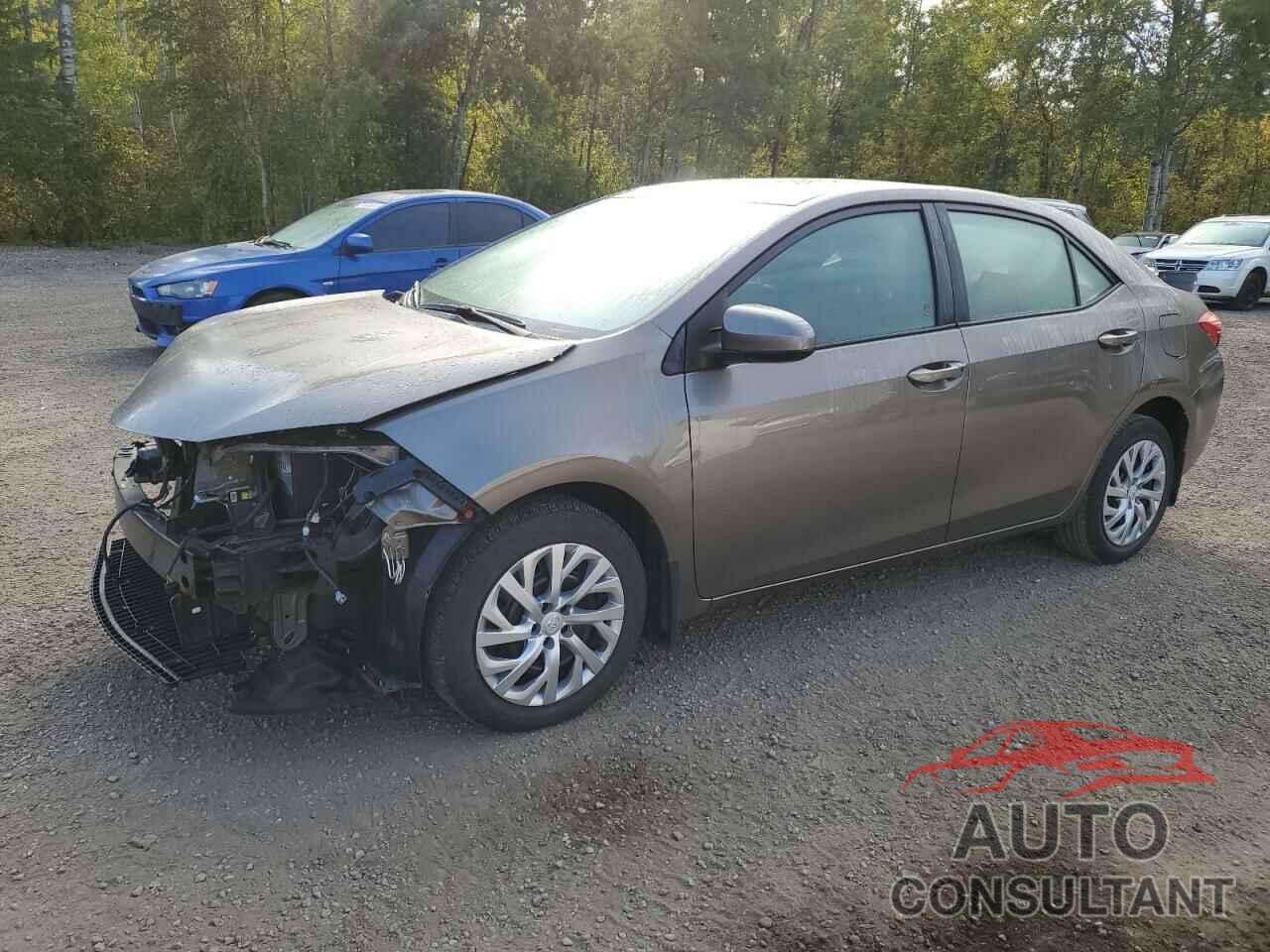 TOYOTA COROLLA 2019 - 2T1BURHE2KC246767