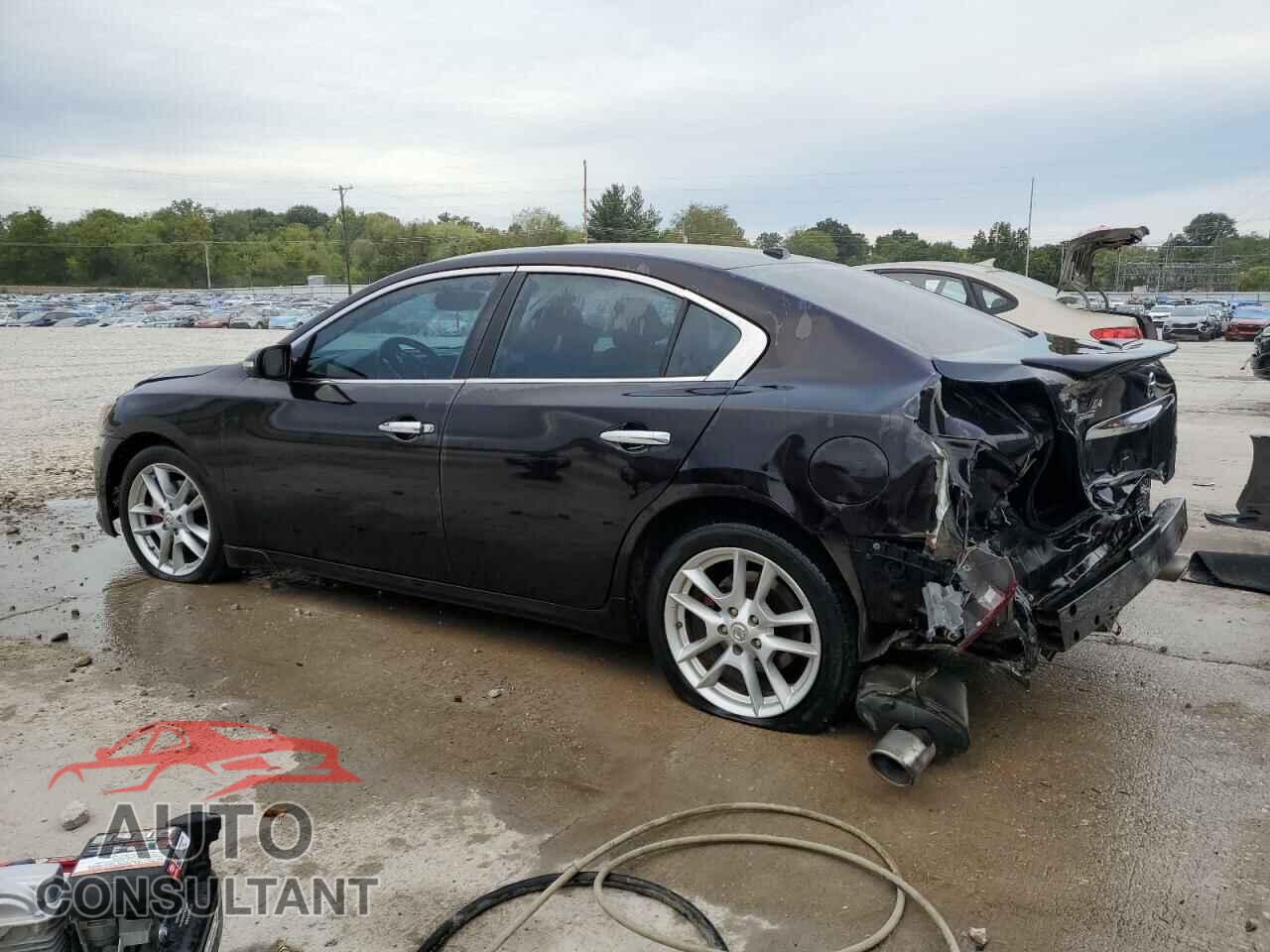 NISSAN MAXIMA 2011 - 1N4AA5AP7BC815863