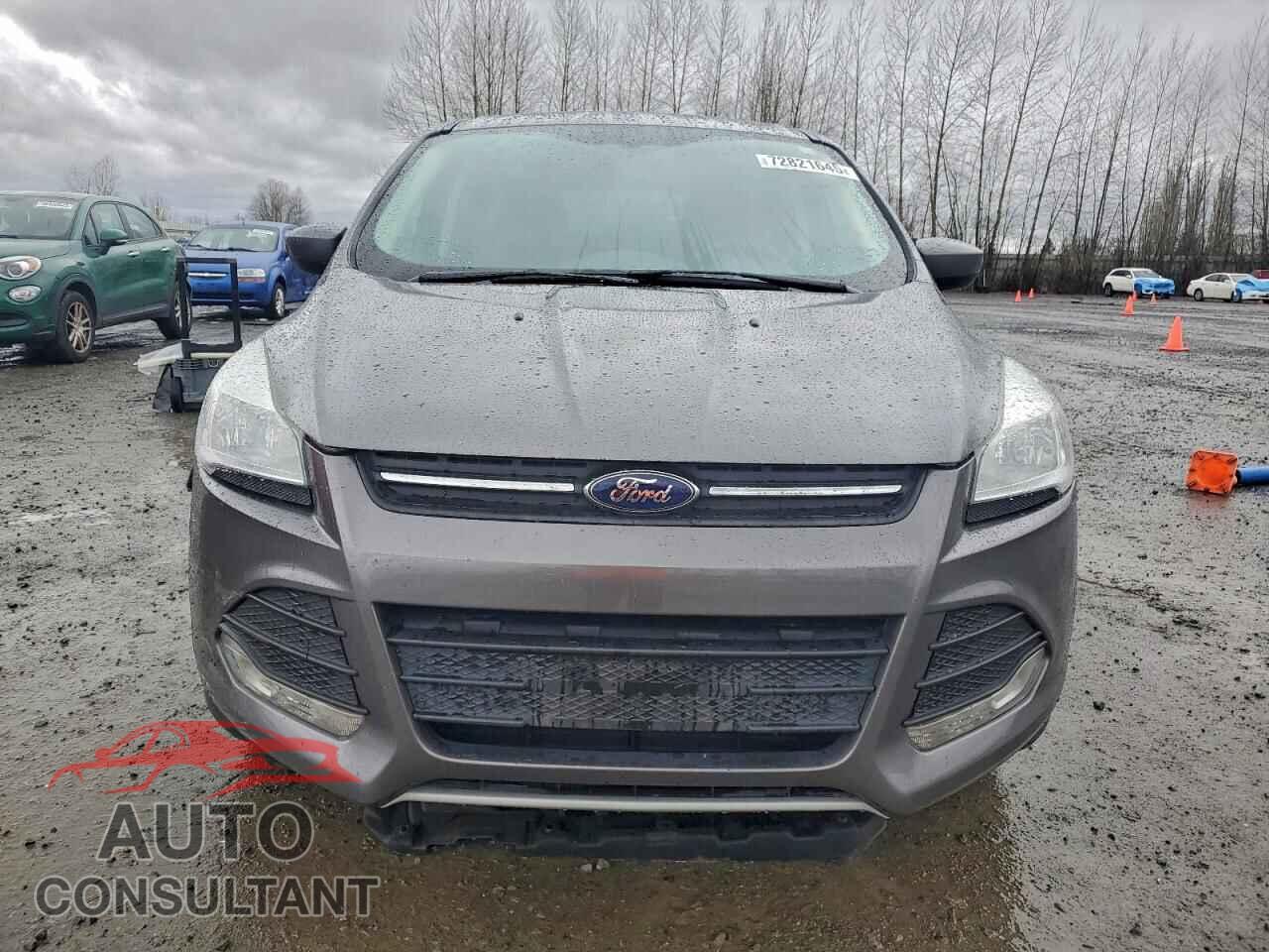 FORD ESCAPE 2014 - 1FMCU9GX0EUE27778