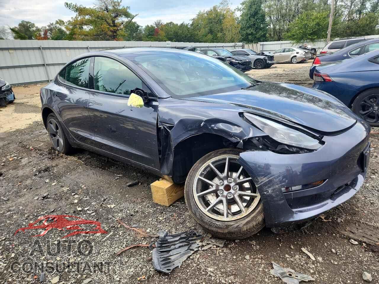 TESLA MODEL 3 2023 - 5YJ3E1EA3PF667419