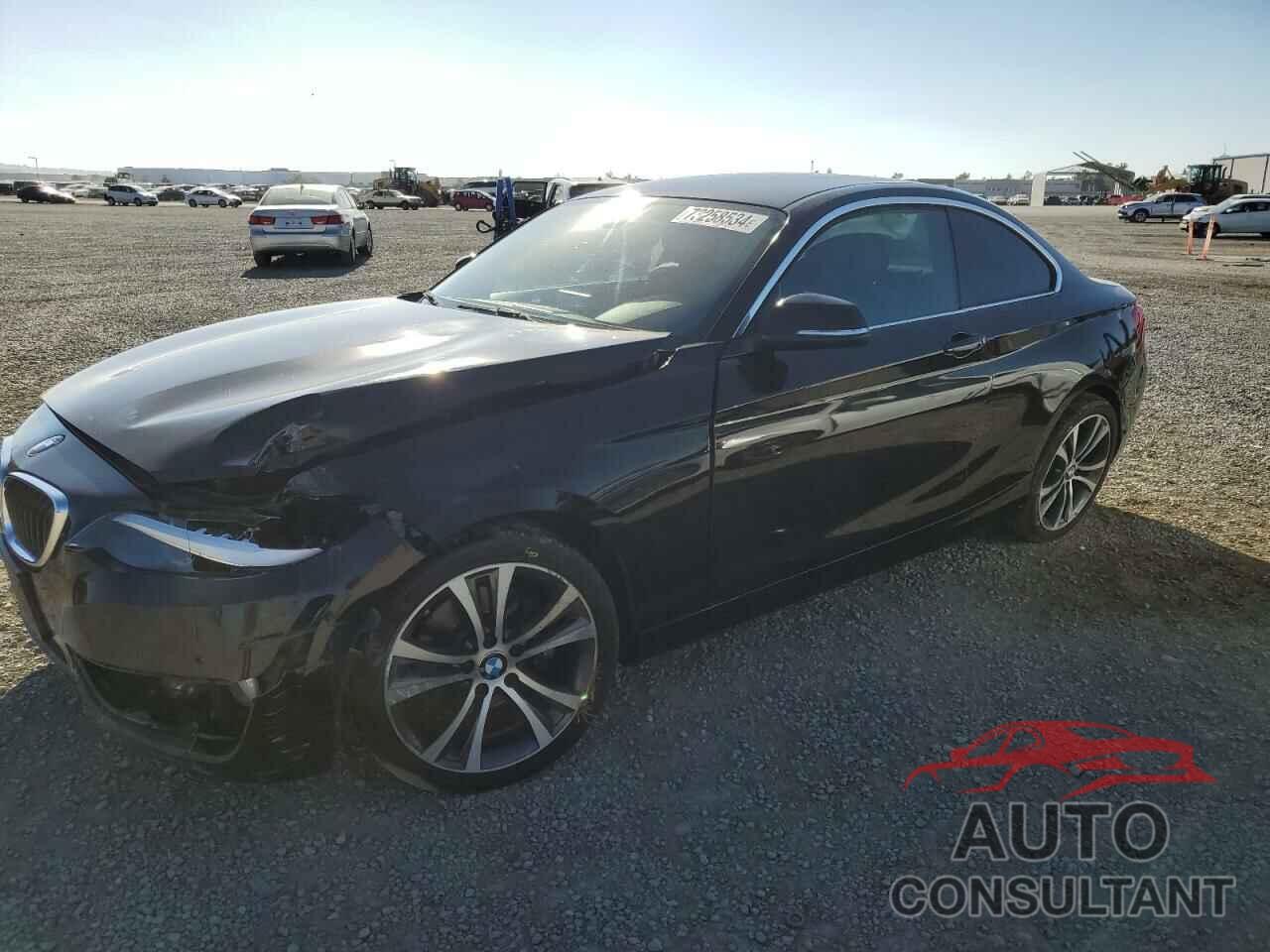 BMW 2 SERIES 2016 - WBA1F9C53GV544906