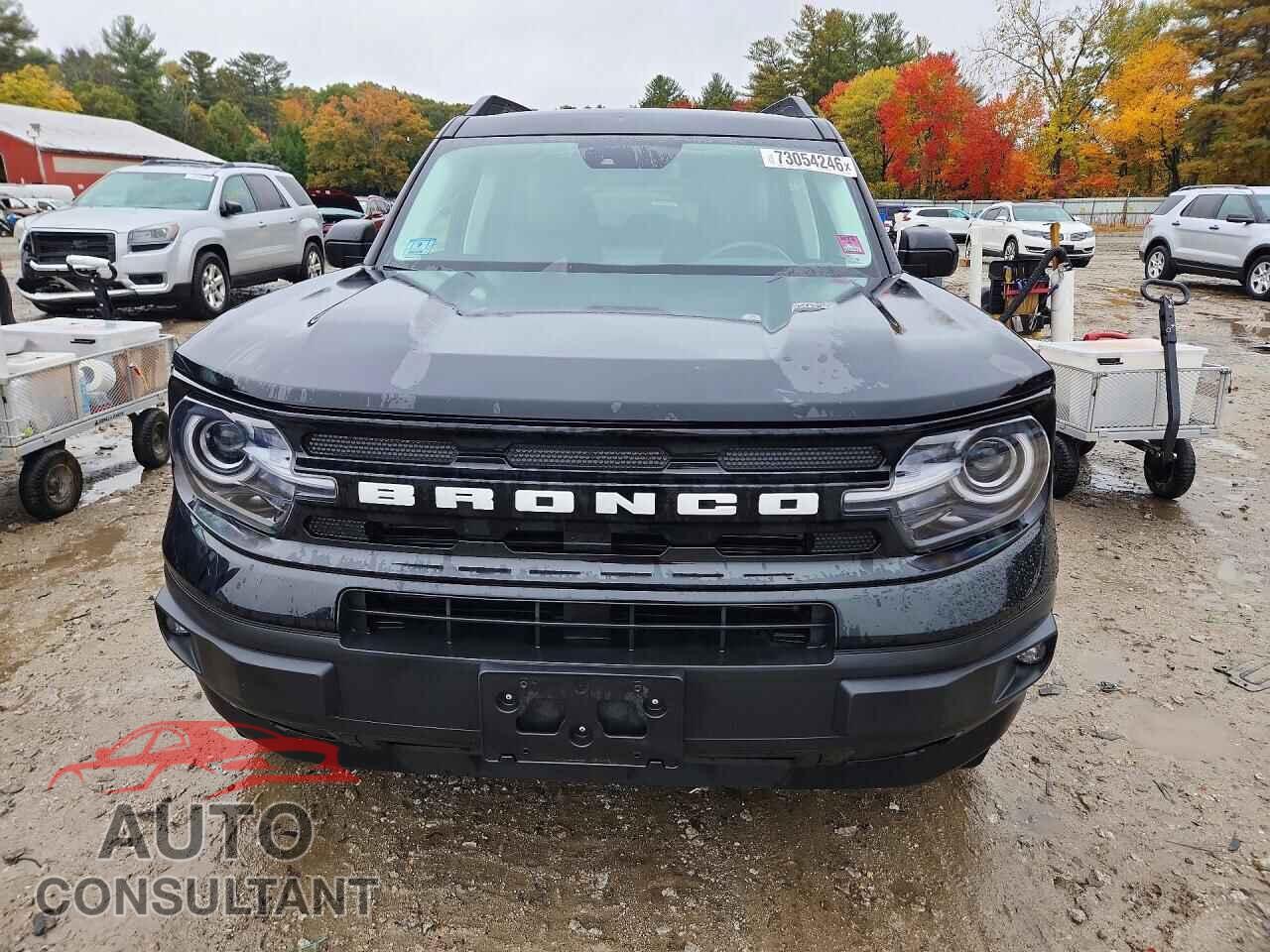 FORD BRONCO 2021 - 3FMCR9C63MRA92066