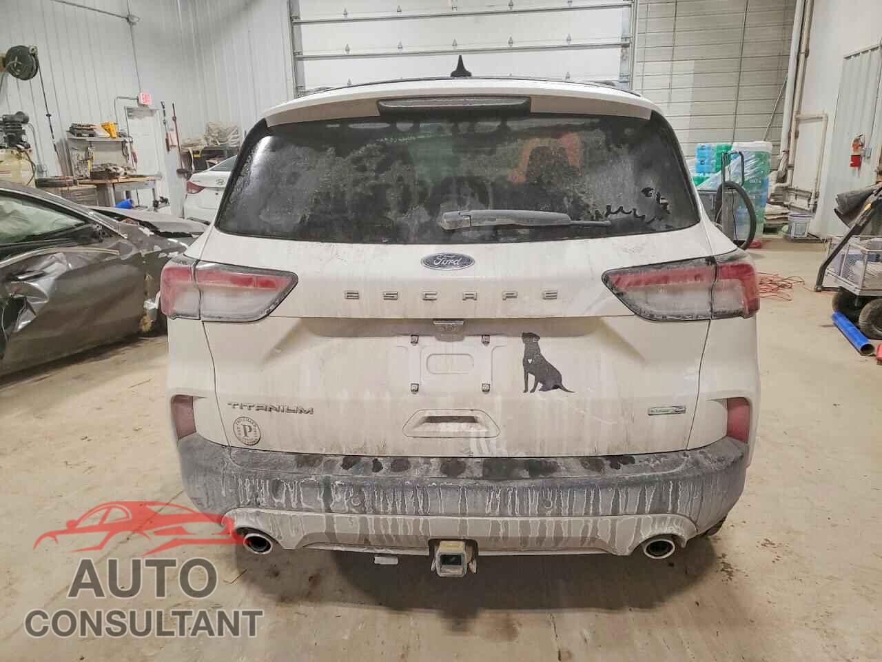 FORD ESCAPE 2020 - 1FMCU9J96LUA78391