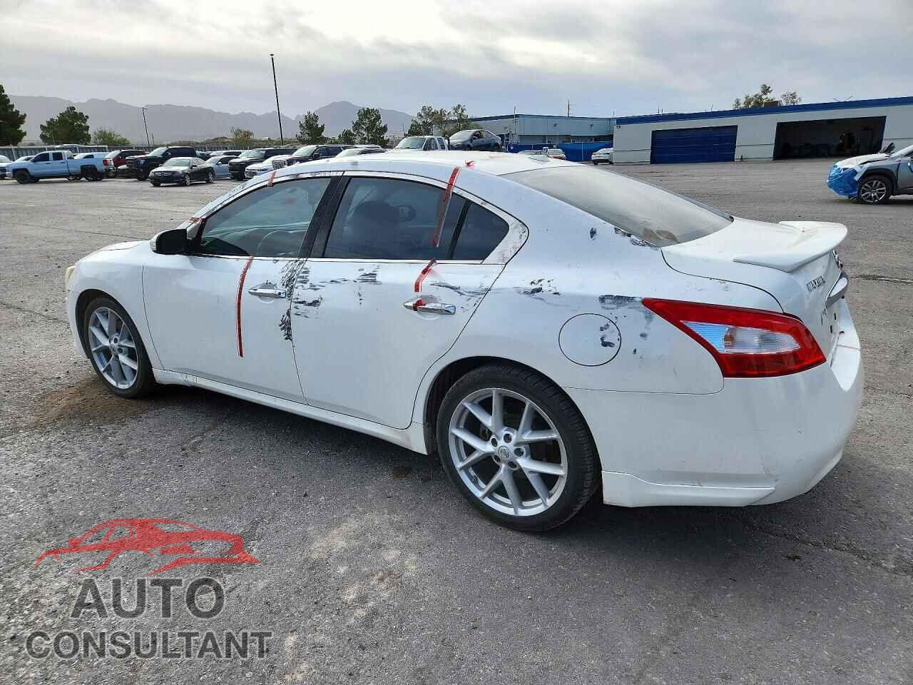 NISSAN MAXIMA 2009 - 1N4AA51E29C845376