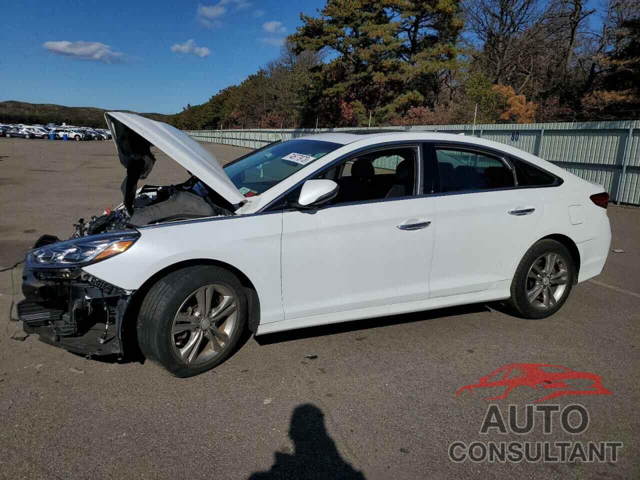 HYUNDAI SONATA 2019 - 5NPE34AF7KH755501