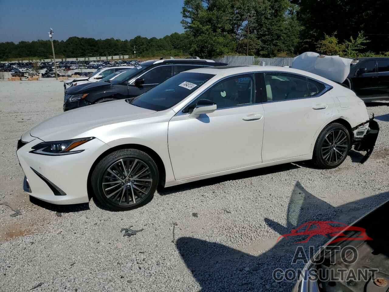 LEXUS ES350 2024 - 58ADZ1B18RU164562