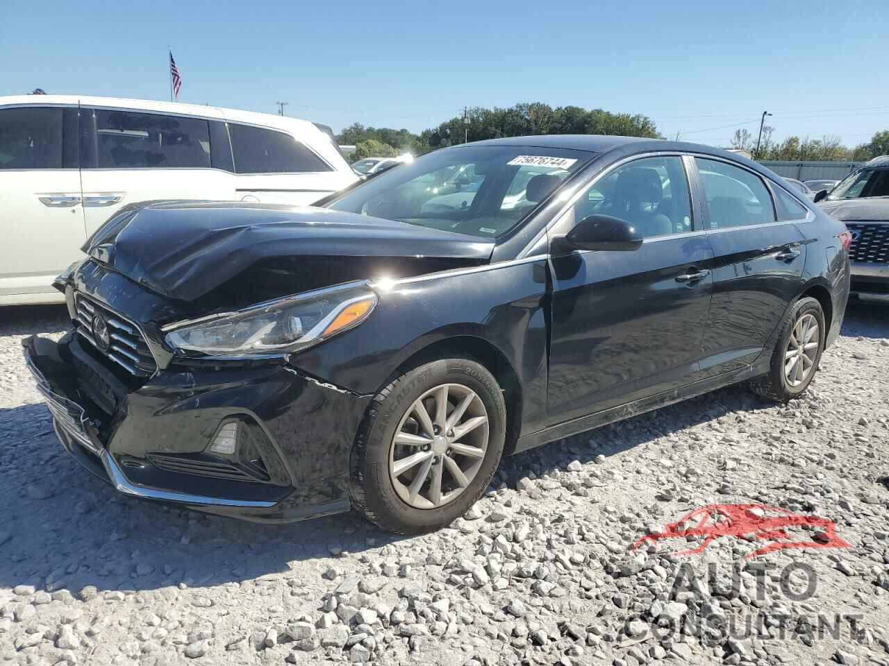 HYUNDAI SONATA 2019 - 5NPE24AF9KH789930