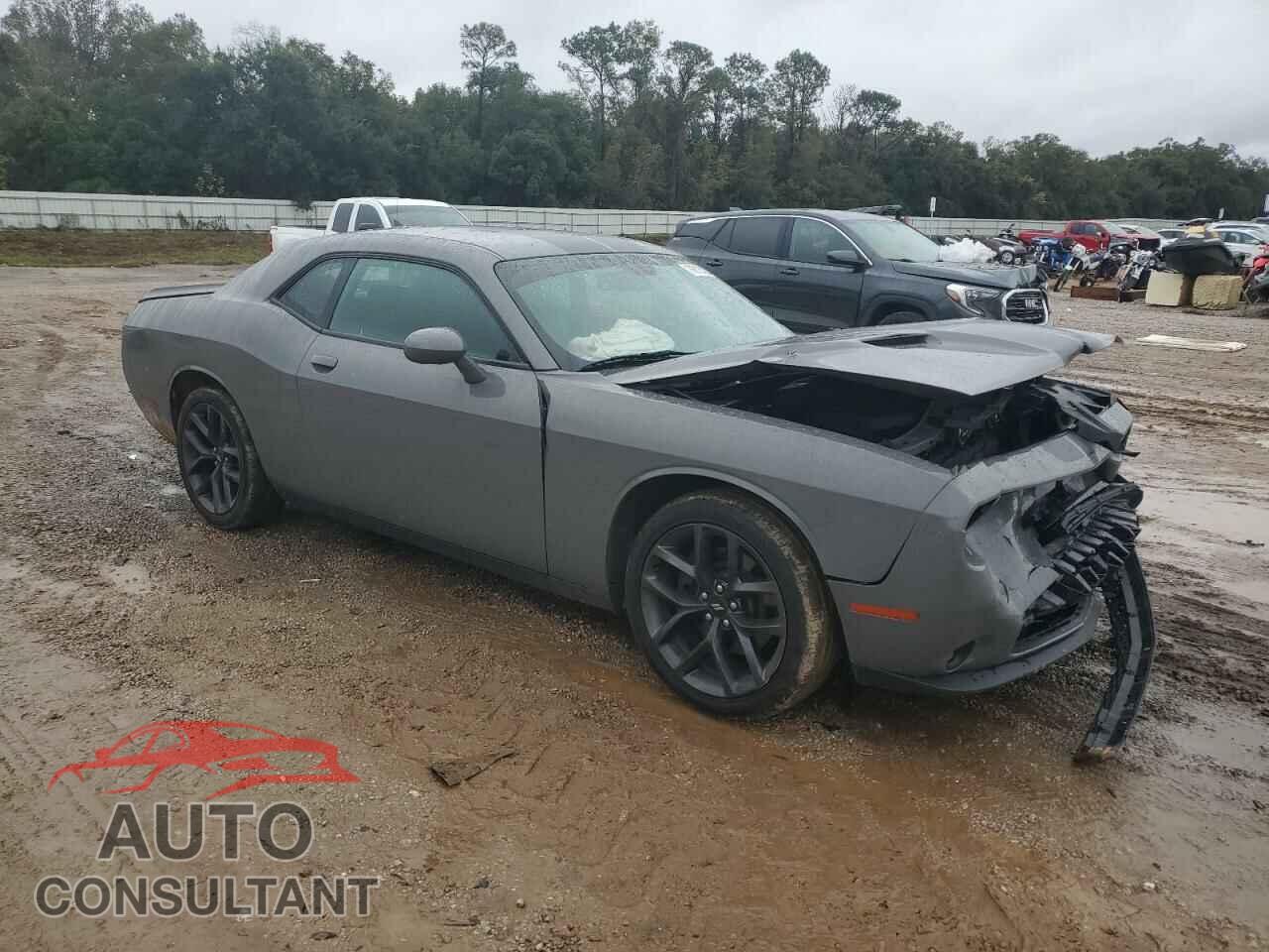 DODGE CHALLENGER 2019 - 2C3CDZAG4KH621388