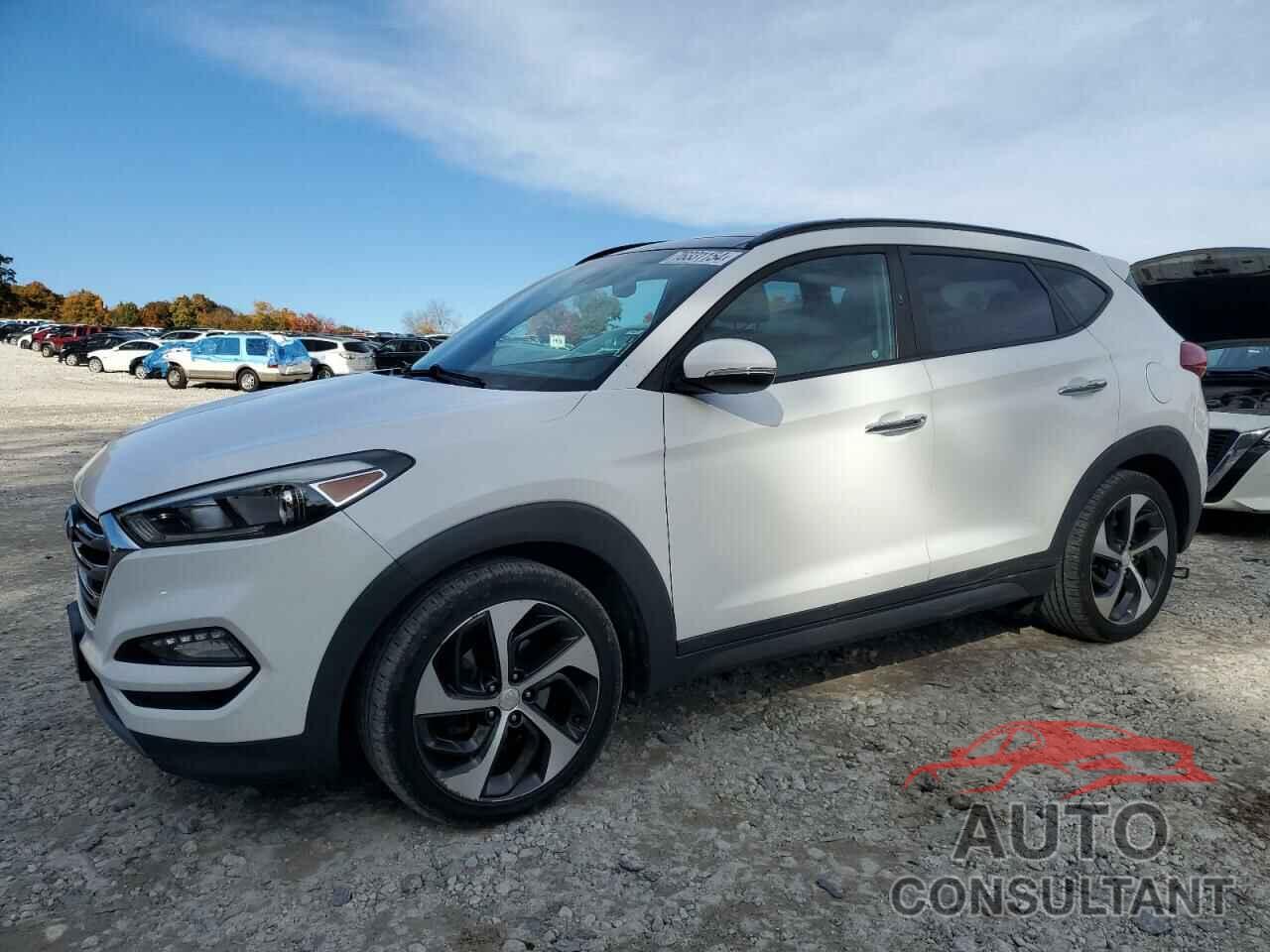 HYUNDAI TUCSON 2016 - KM8J3CA29GU183085