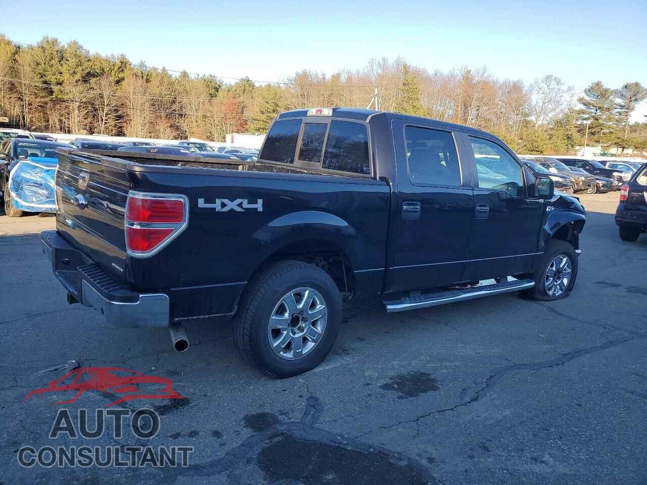 FORD F-150 2013 - 1FTFW1EF8DFD15899