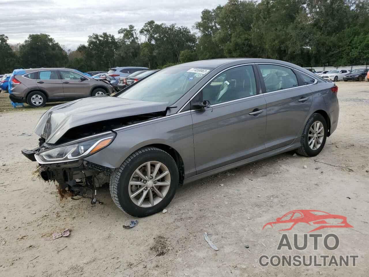 HYUNDAI SONATA 2019 - 5NPE24AF0KH803293