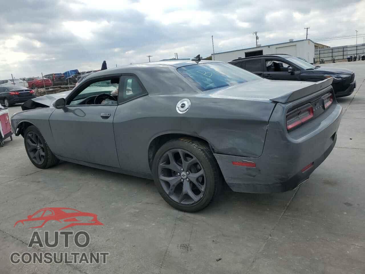 DODGE CHALLENGER 2019 - 2C3CDZAG7KH541289