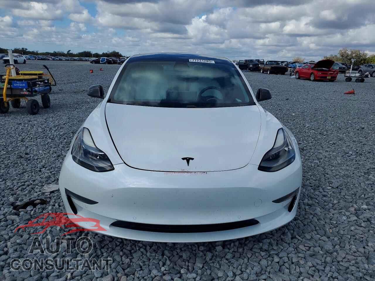 TESLA MODEL 3 2021 - 5YJ3E1EA3MF028811