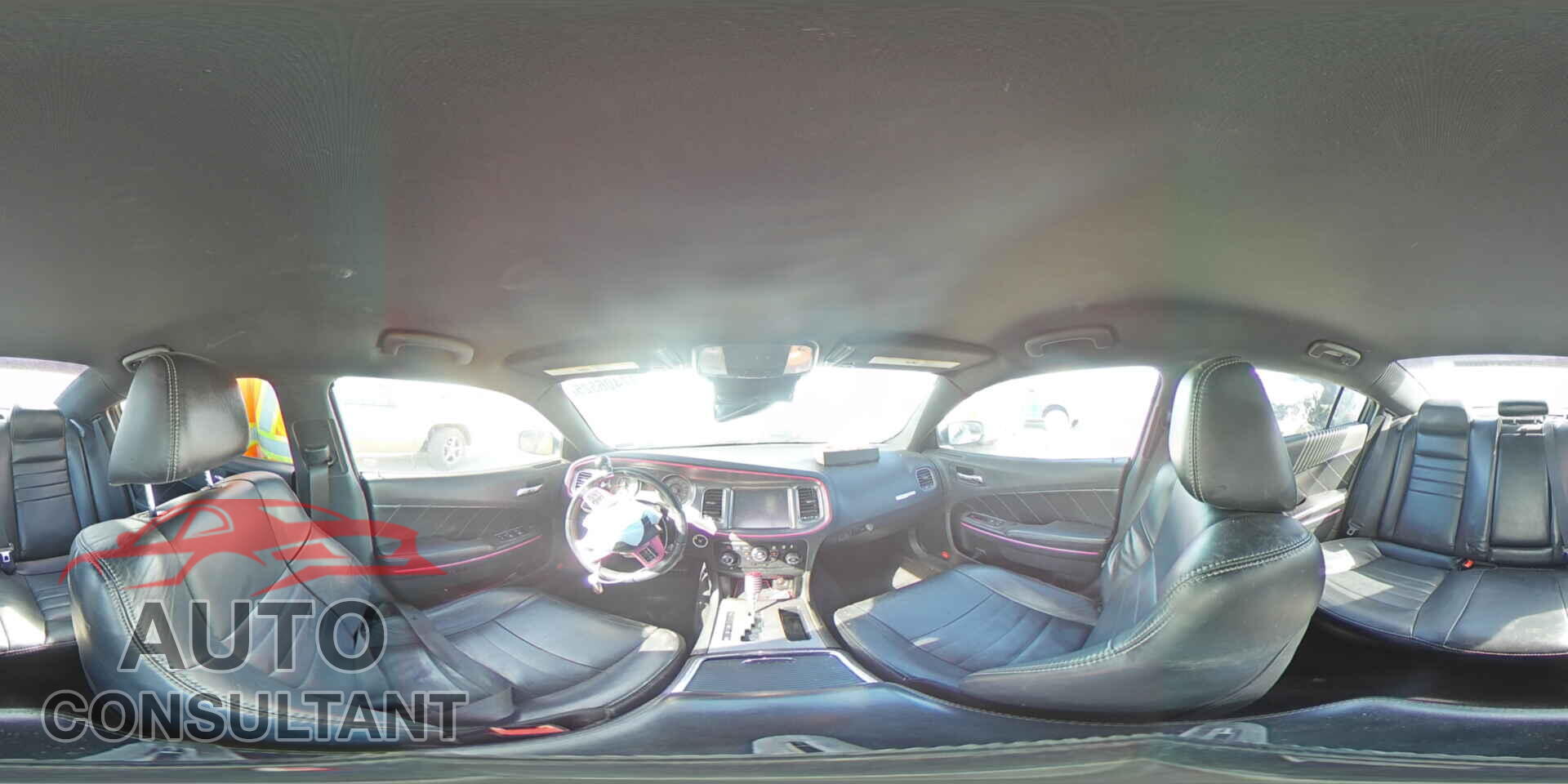 DODGE CHARGER 2014 - 2C3CDXDT2EH114880