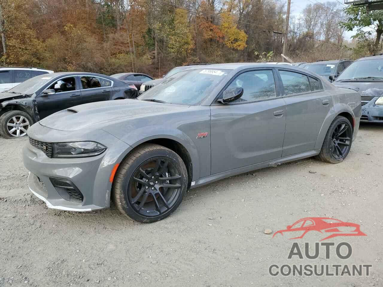 DODGE CHARGER 2023 - 2C3CDXGJ2PH598322