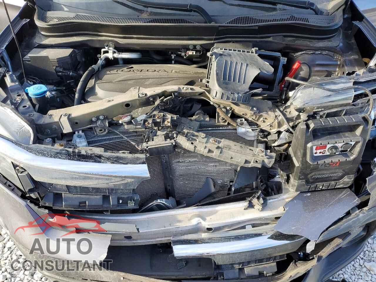HONDA PILOT 2019 - 5FNYF6H54KB068780