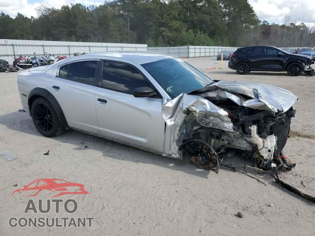 DODGE CHARGER 2013 - 2C3CDXAT3DH677116