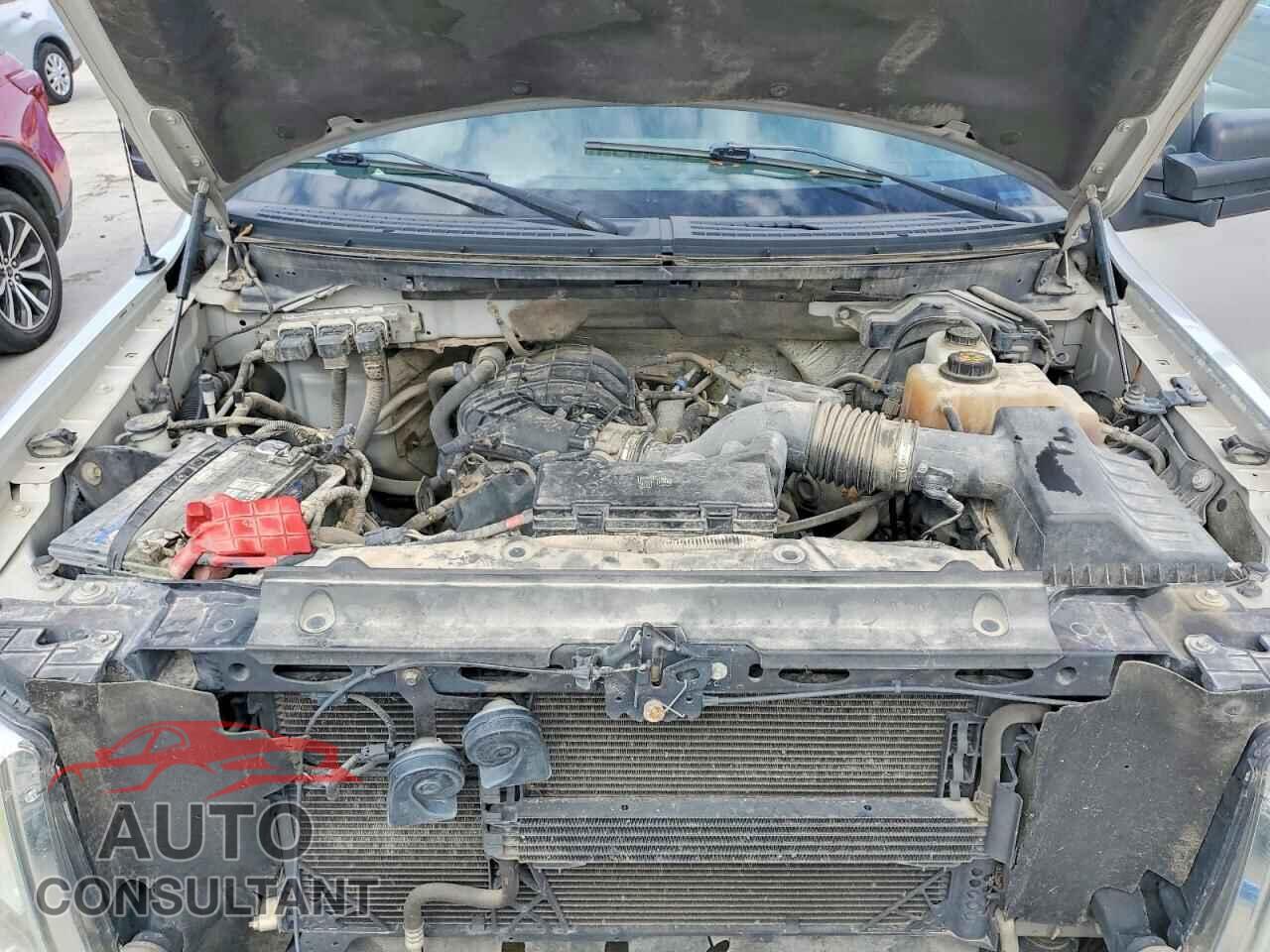 FORD F-150 2011 - 1FTEX1EM2BFC97131