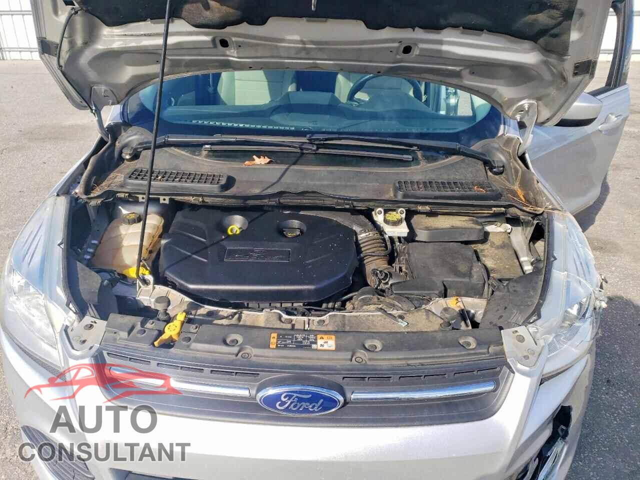FORD ESCAPE 2014 - 1FMCU9G91EUE20548