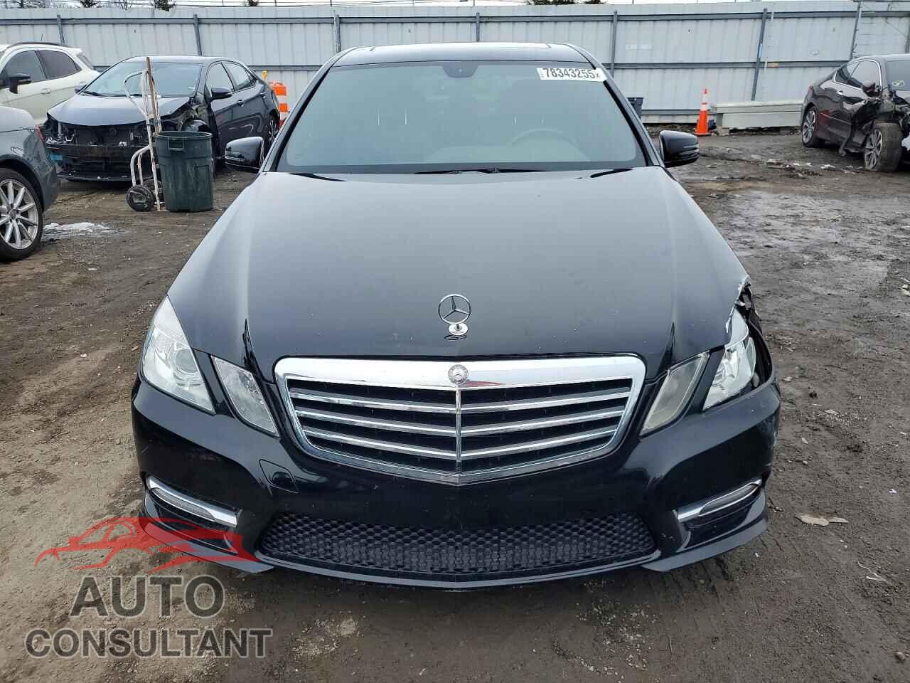 MERCEDES-BENZ E-CLASS 2013 - WDDHF9FBXDA737632