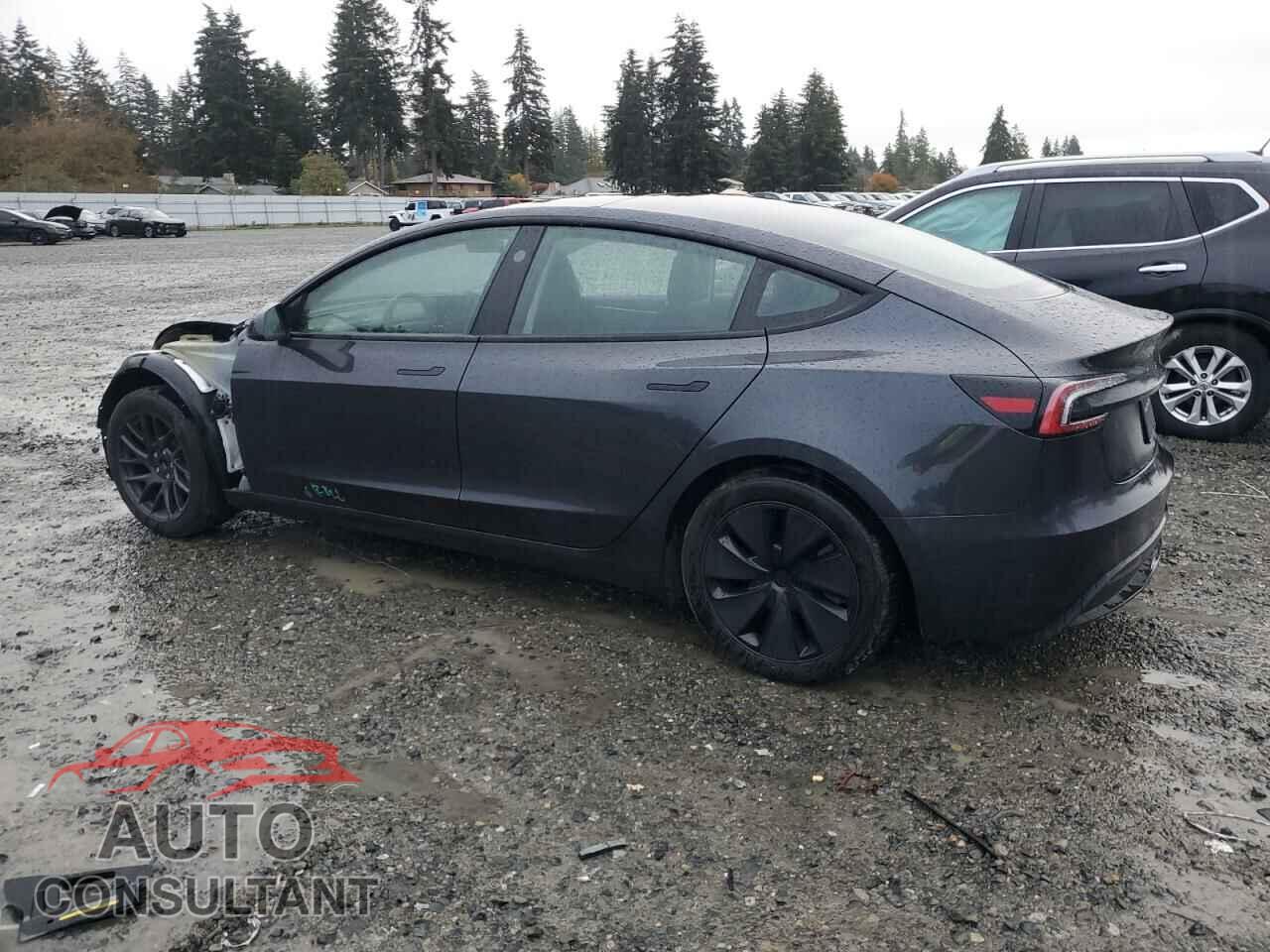 TESLA MODEL 3 2024 - 5YJ3E1EA4RF736461