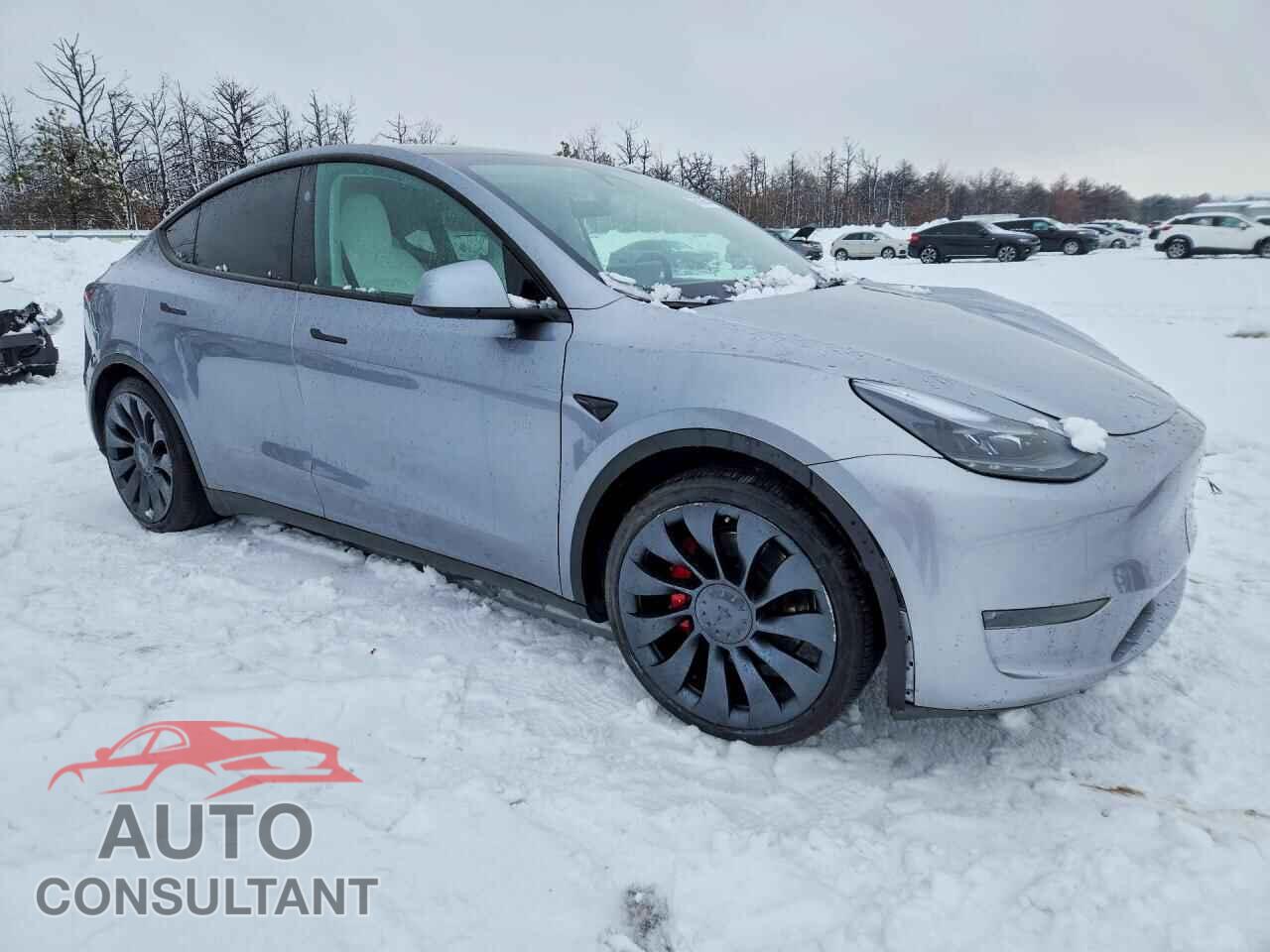 TESLA MODEL Y 2024 - 7SAYGDEF1RA294557
