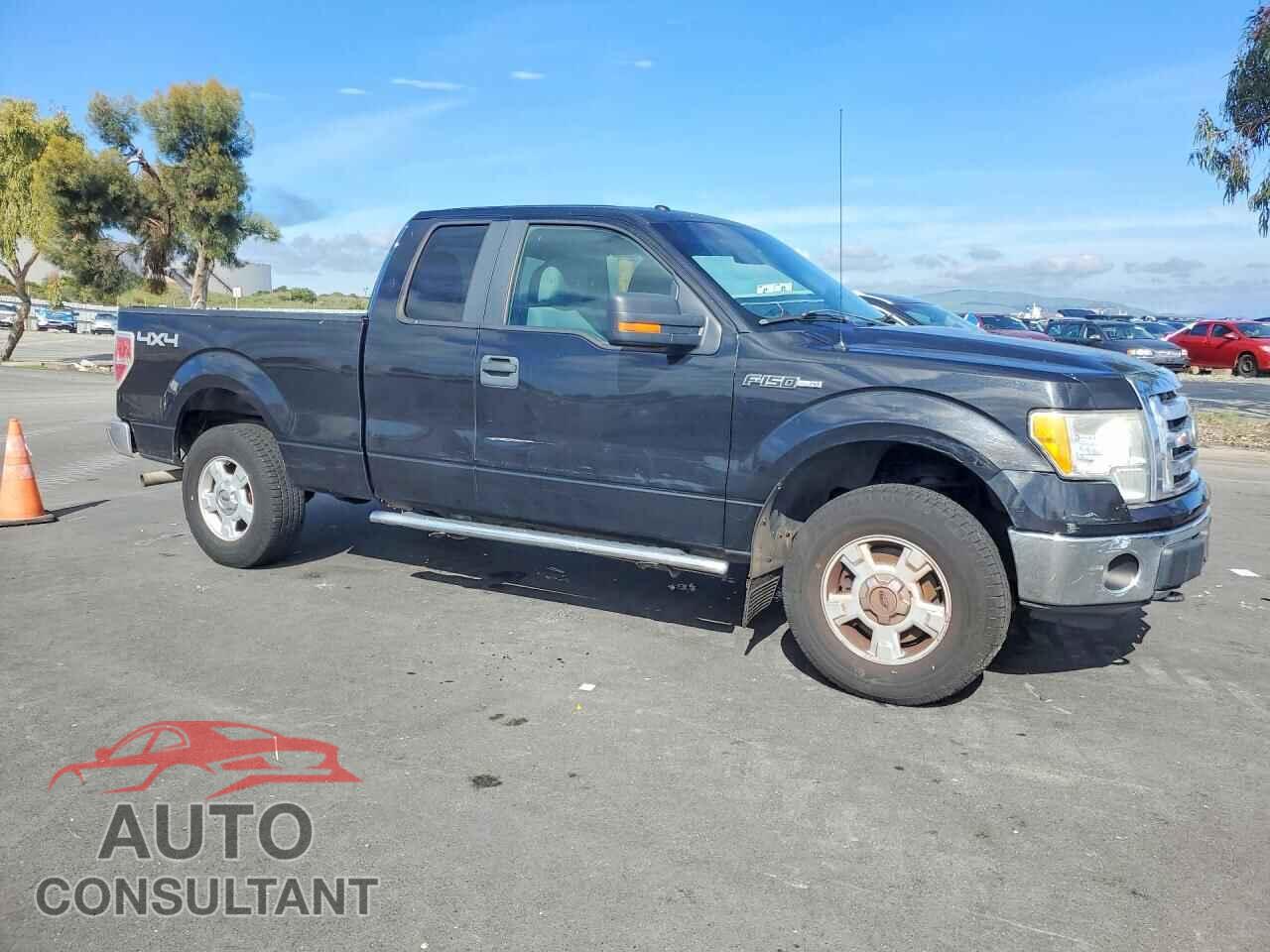 FORD F150 2011 - 1FTFX1EF5BFA08765