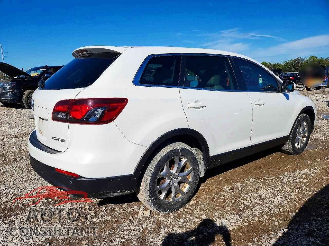 MAZDA CX-9 2014 - JM3TB2CA9E0428302