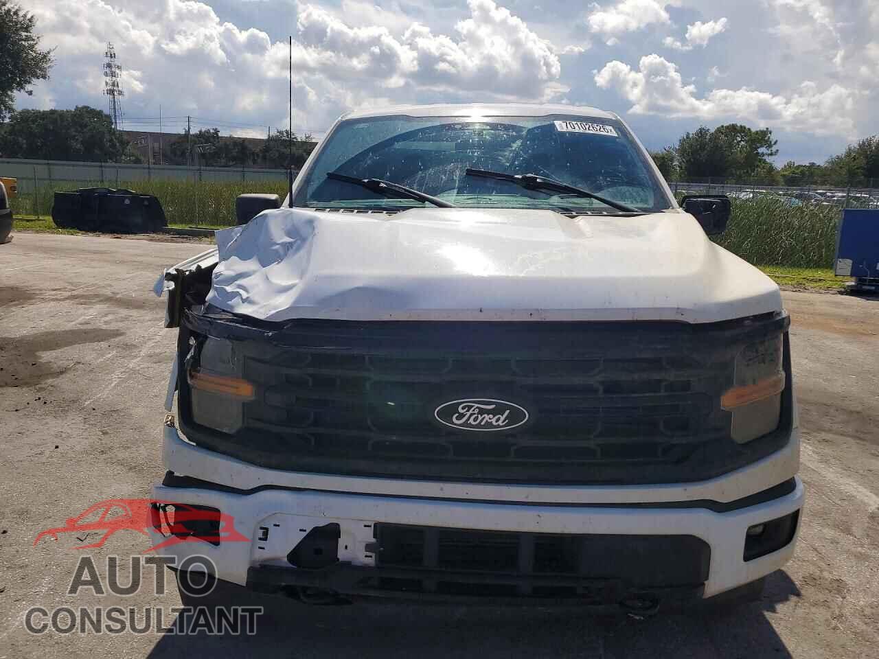 FORD F150 2024 - 1FTEW3LPXRKD39431