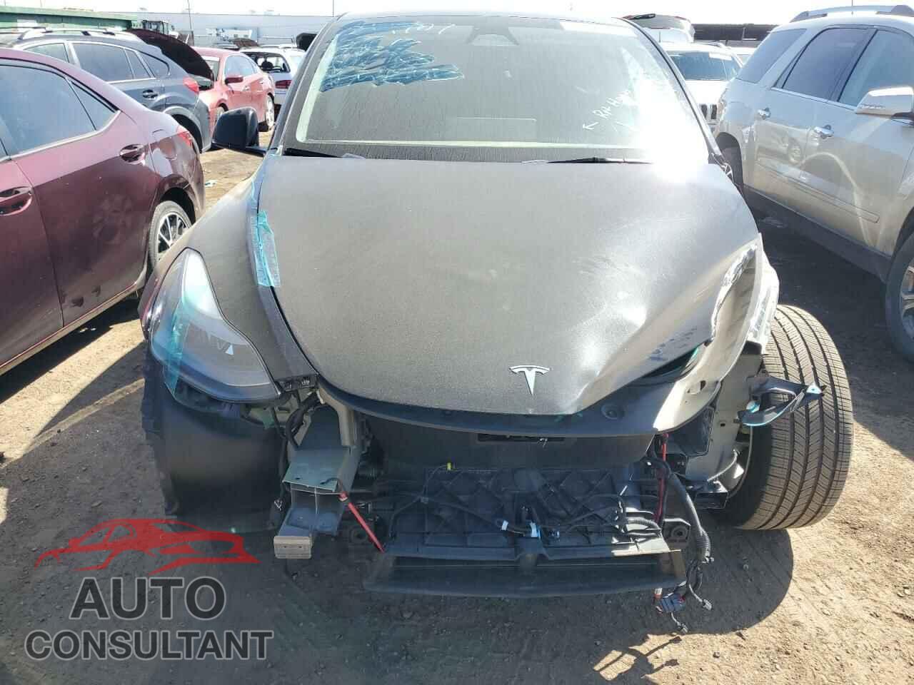 TESLA MODEL Y 2023 - 7SAYGDEE7PF844707