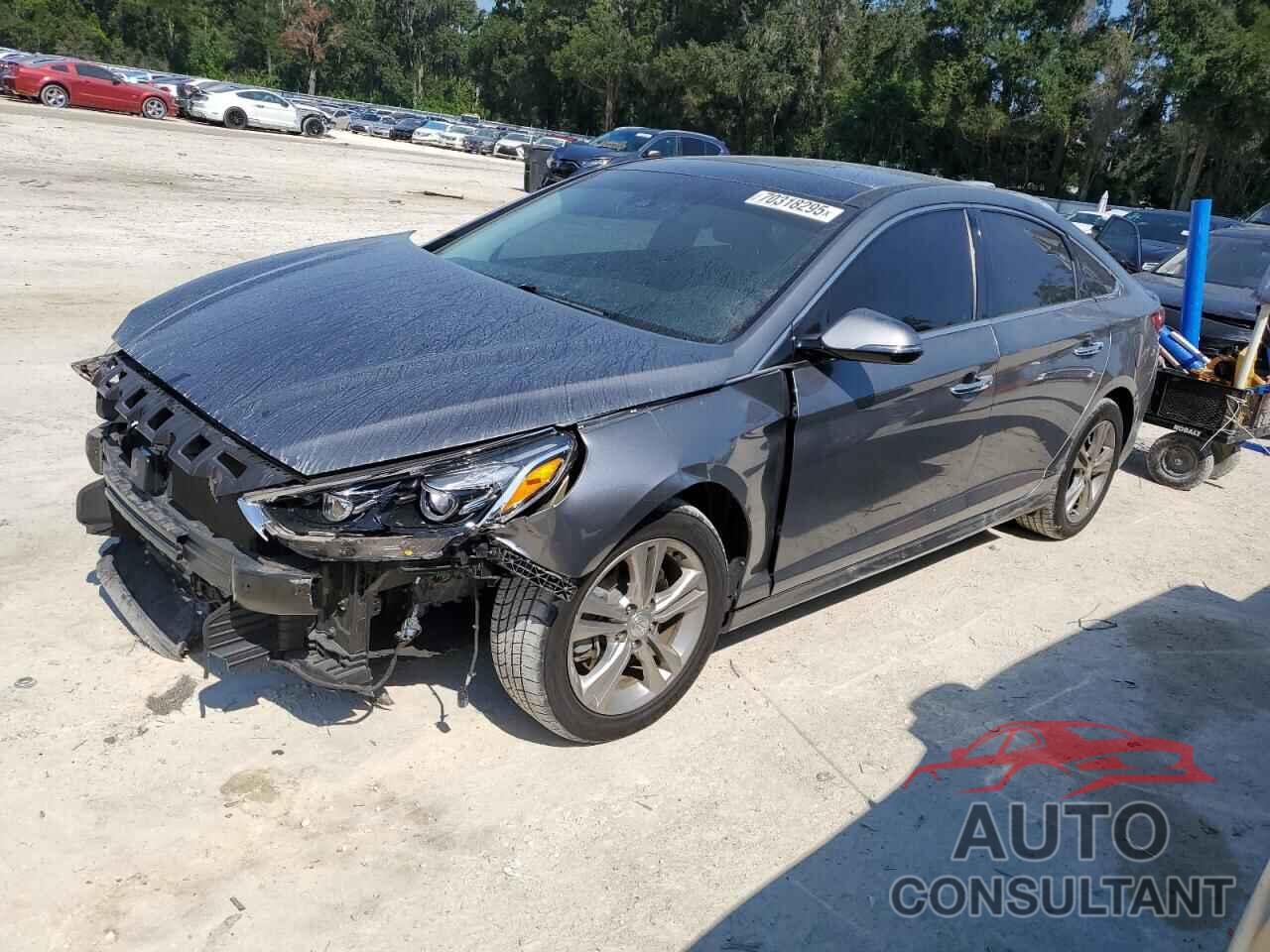 HYUNDAI SONATA 2019 - 5NPE34AF6KH749737