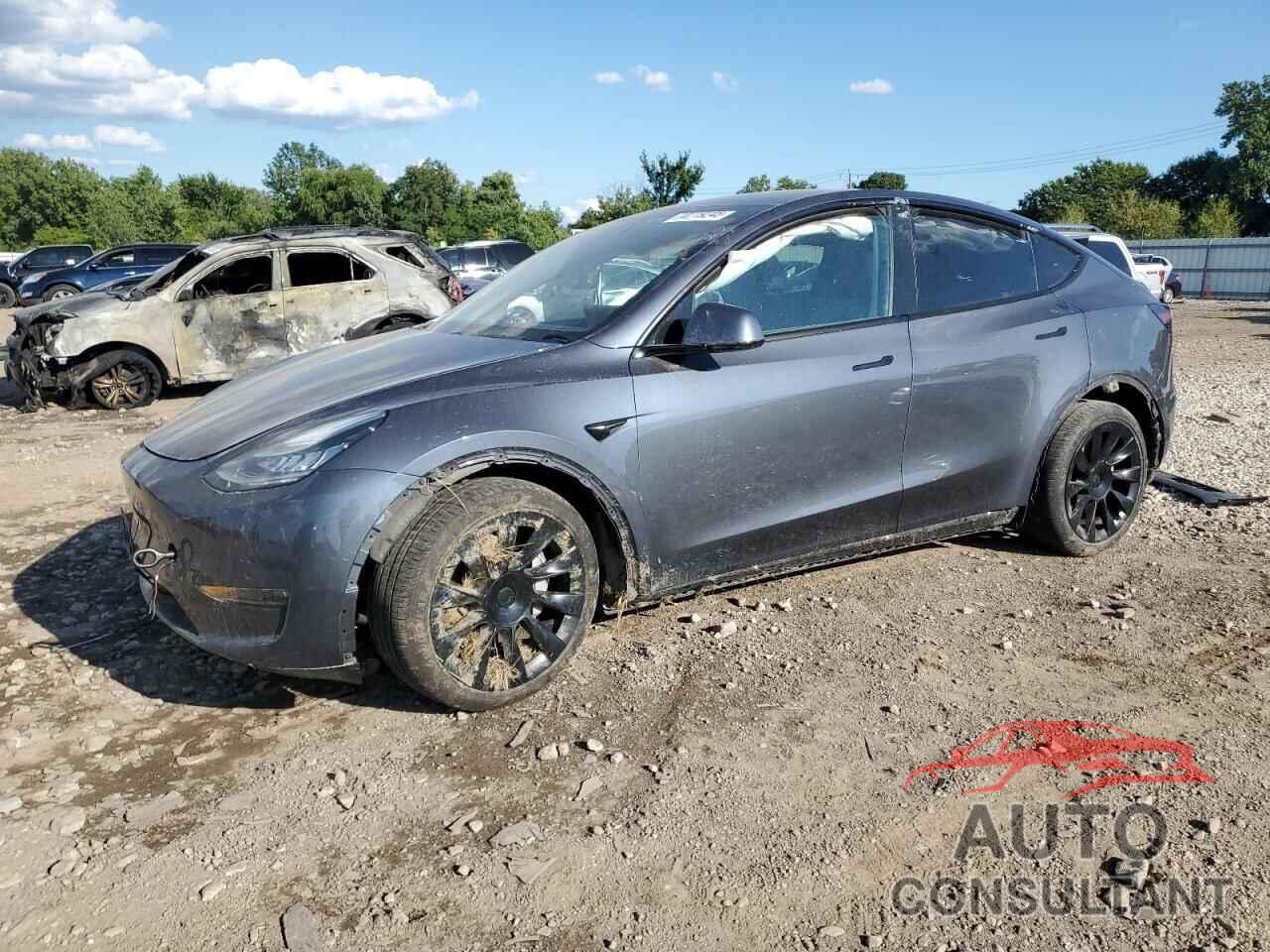 TESLA MODEL Y 2020 - 5YJYGDEE7LF033206