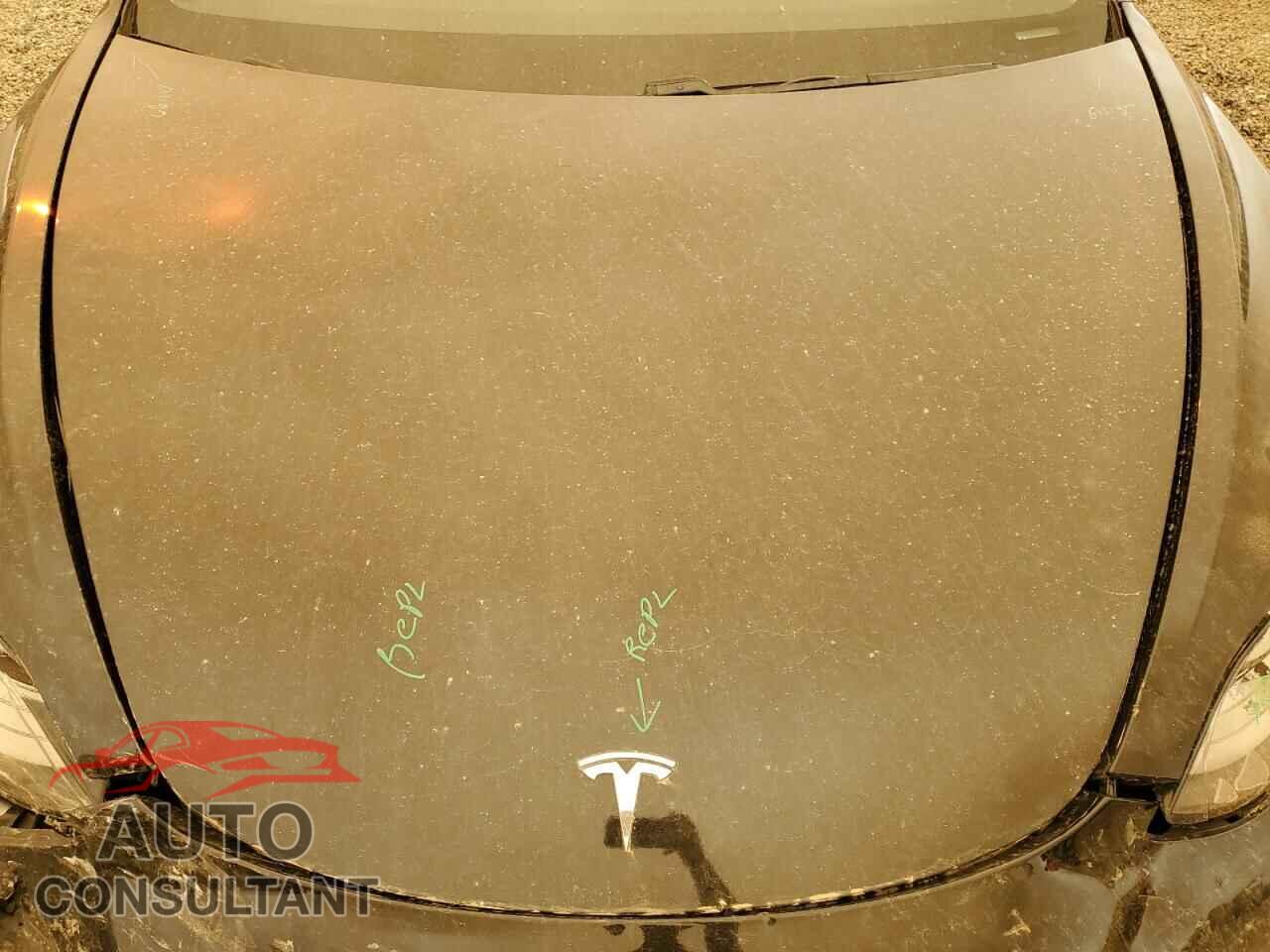TESLA MODEL 3 2019 - 5YJ3E1EB8KF434170
