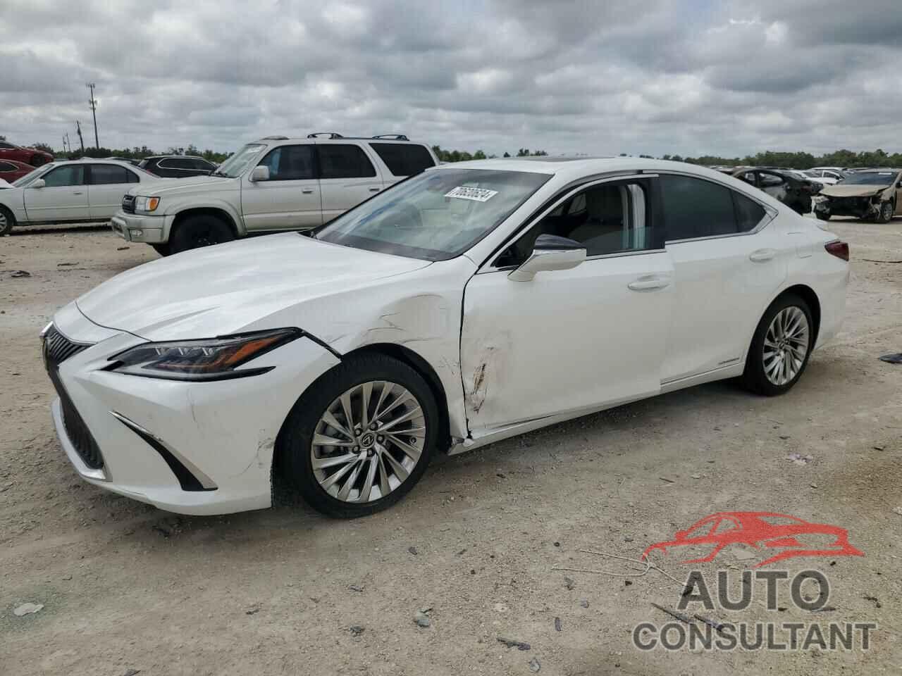 LEXUS ES300 2020 - 58AF21B16LU011005