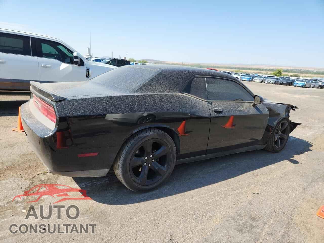 DODGE CHALLENGER 2013 - 2C3CDYBTXDH646837