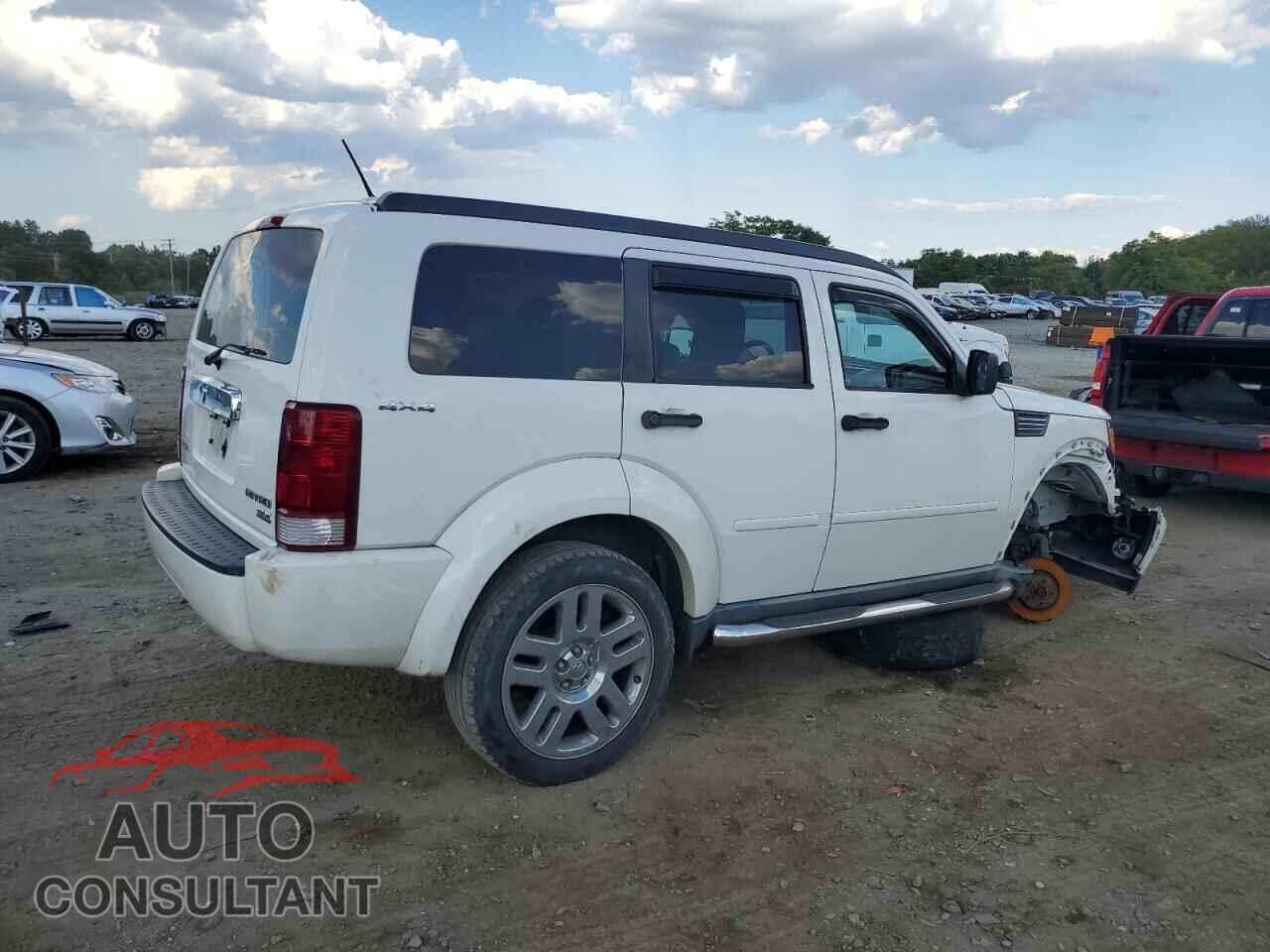 DODGE NITRO 2009 - 1D8GU58KX9W532941