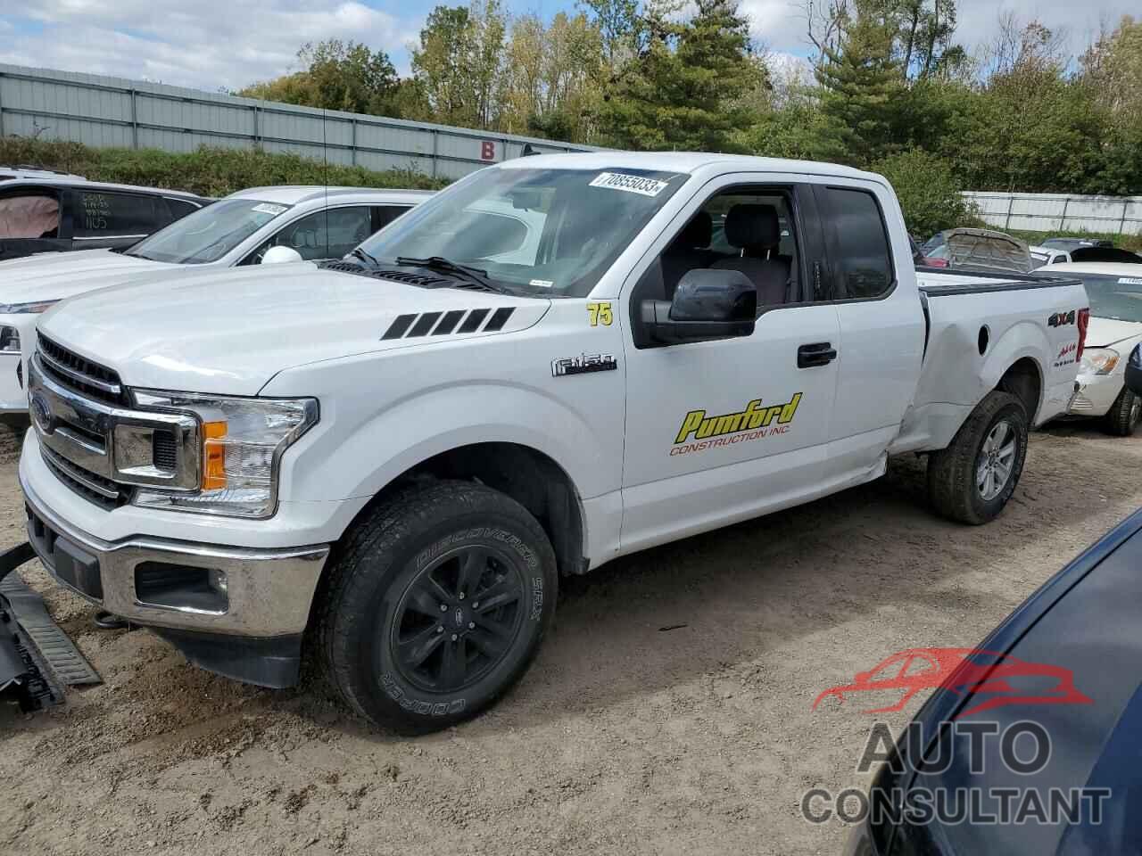 FORD F-150 2019 - 1FTEX1EP0KFA13344