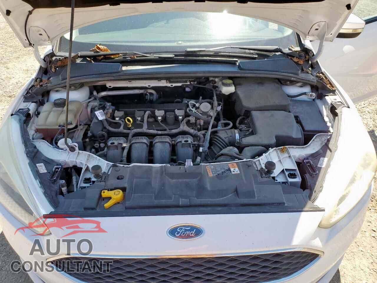 FORD FOCUS 2017 - 1FADP3F24HL249537