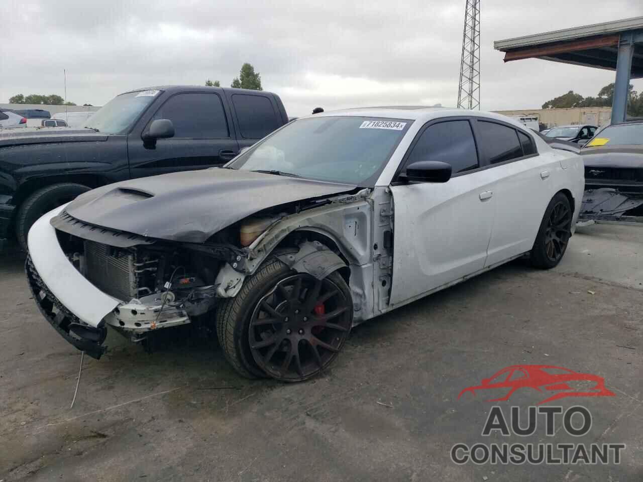 DODGE CHARGER 2019 - 2C3CDXGJ8KH619313