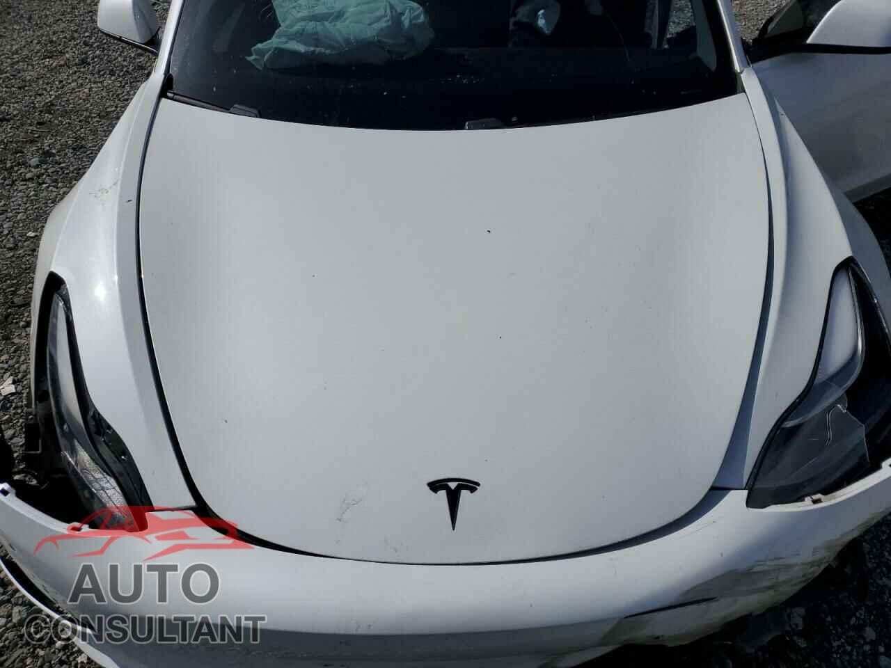 TESLA MODEL 3 2021 - 5YJ3E1EC5MF050309