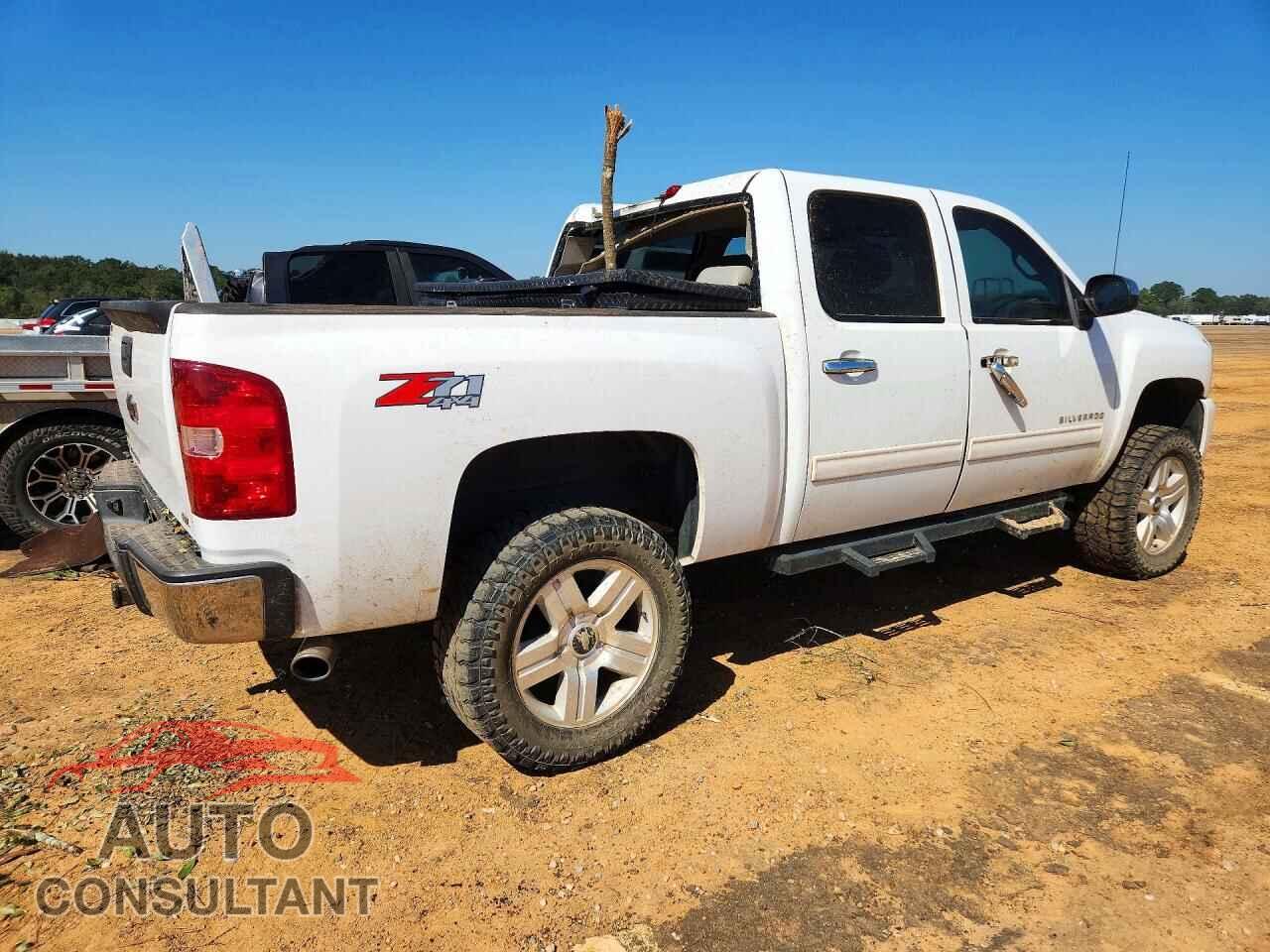 CHEVROLET SILVERADO 2010 - 3GCRKTE3XAG140415