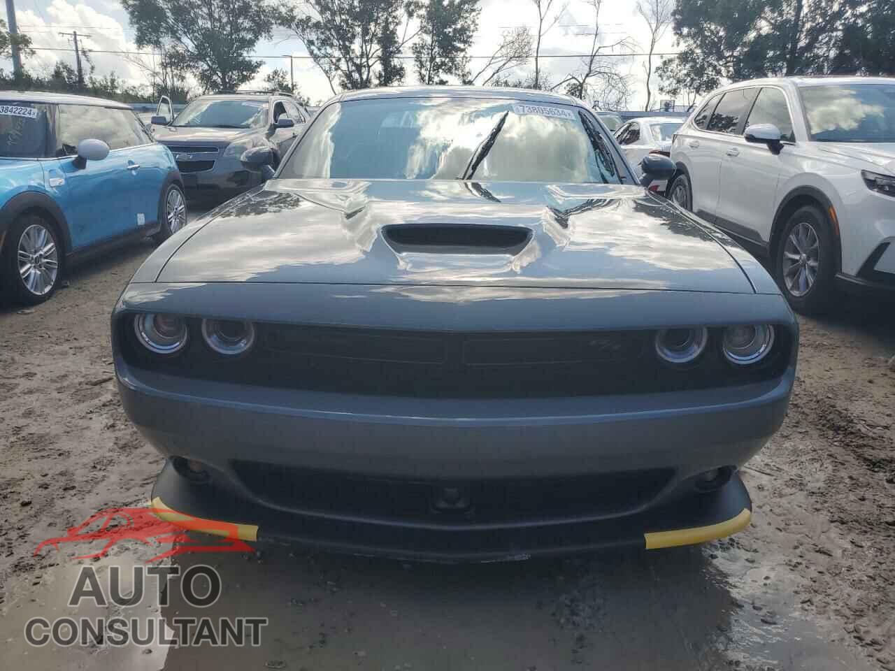 DODGE CHALLENGER 2023 - 2C3CDZBT3PH662193