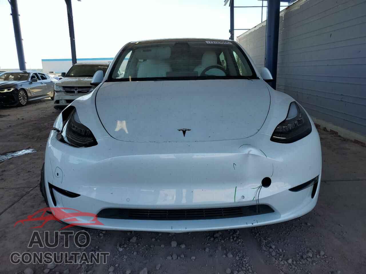 TESLA MODEL Y 2021 - 5YJYGAEE8MF151507