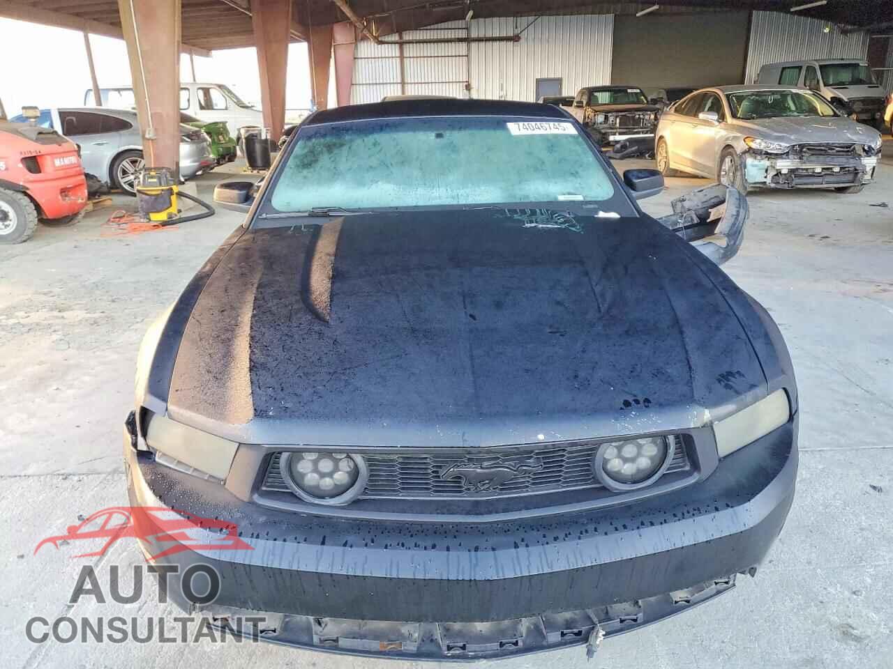 FORD MUSTANG 2010 - 1ZVBP8CH8A5133577