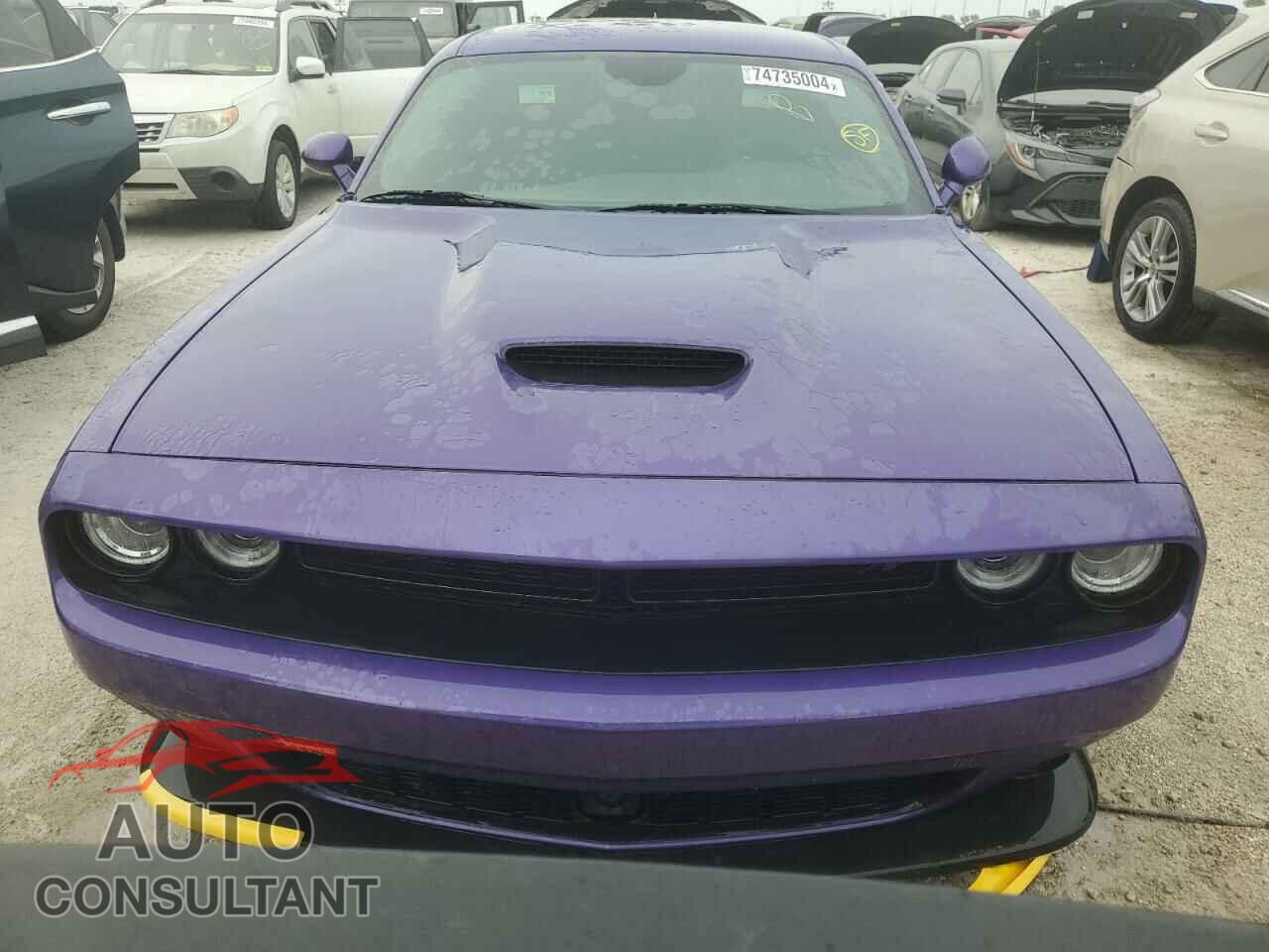 DODGE CHALLENGER 2023 - 2C3CDZBT7PH644845