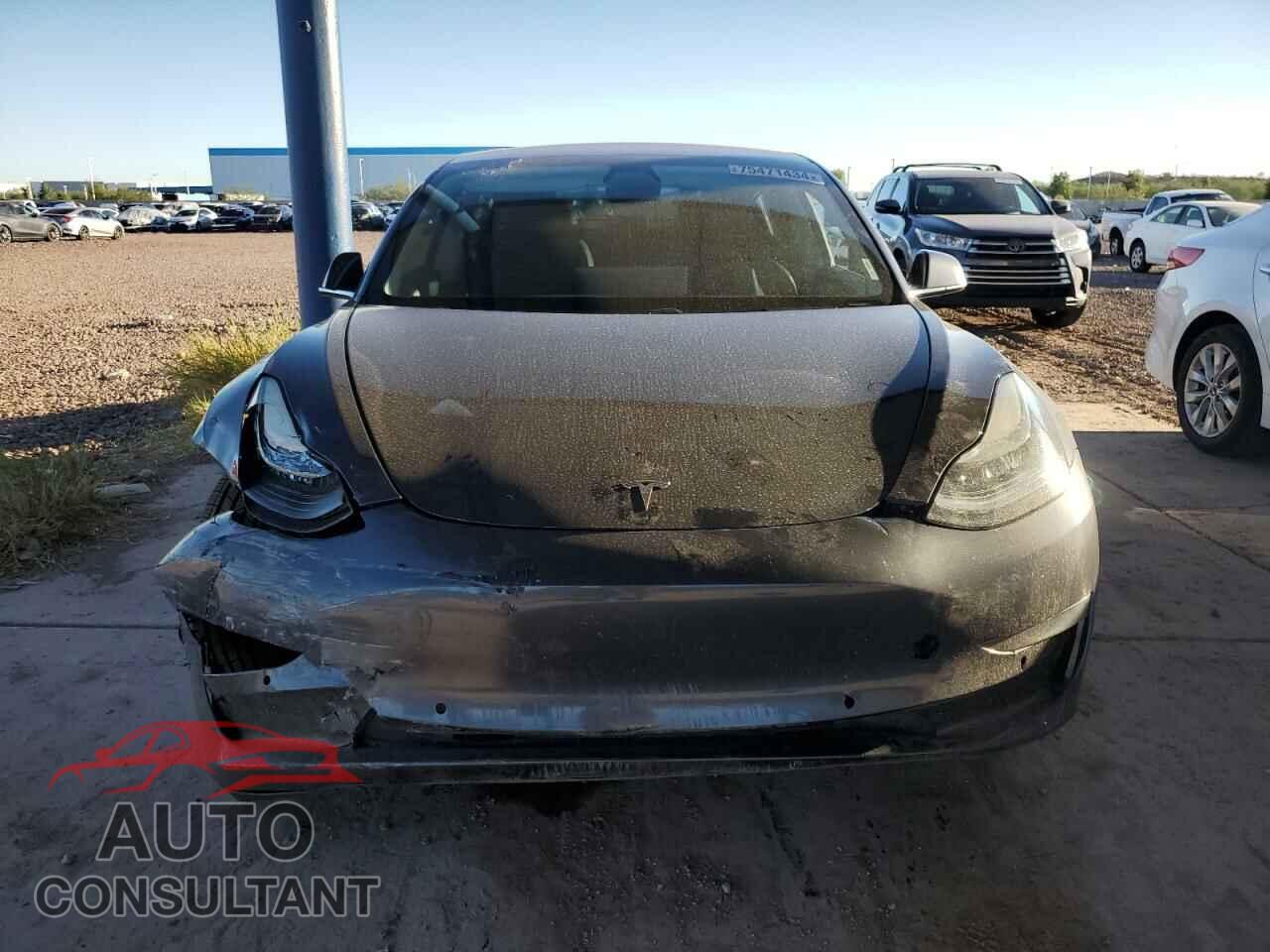 TESLA MODEL 3 2019 - 5YJ3E1EA2KF300827